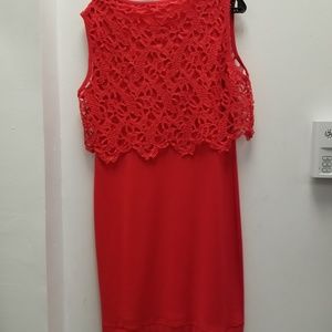 Luisa Cerano | Red Lace Dress